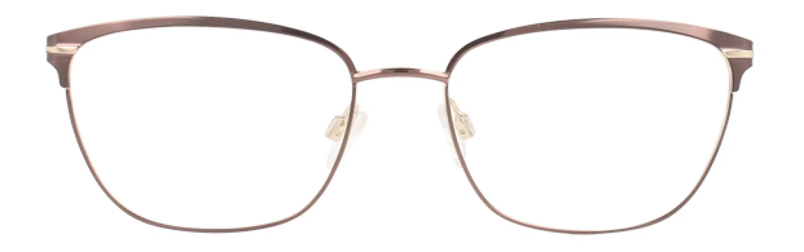 Via Spiga VSCirilla Eyeglasses - Mocha - view 4
